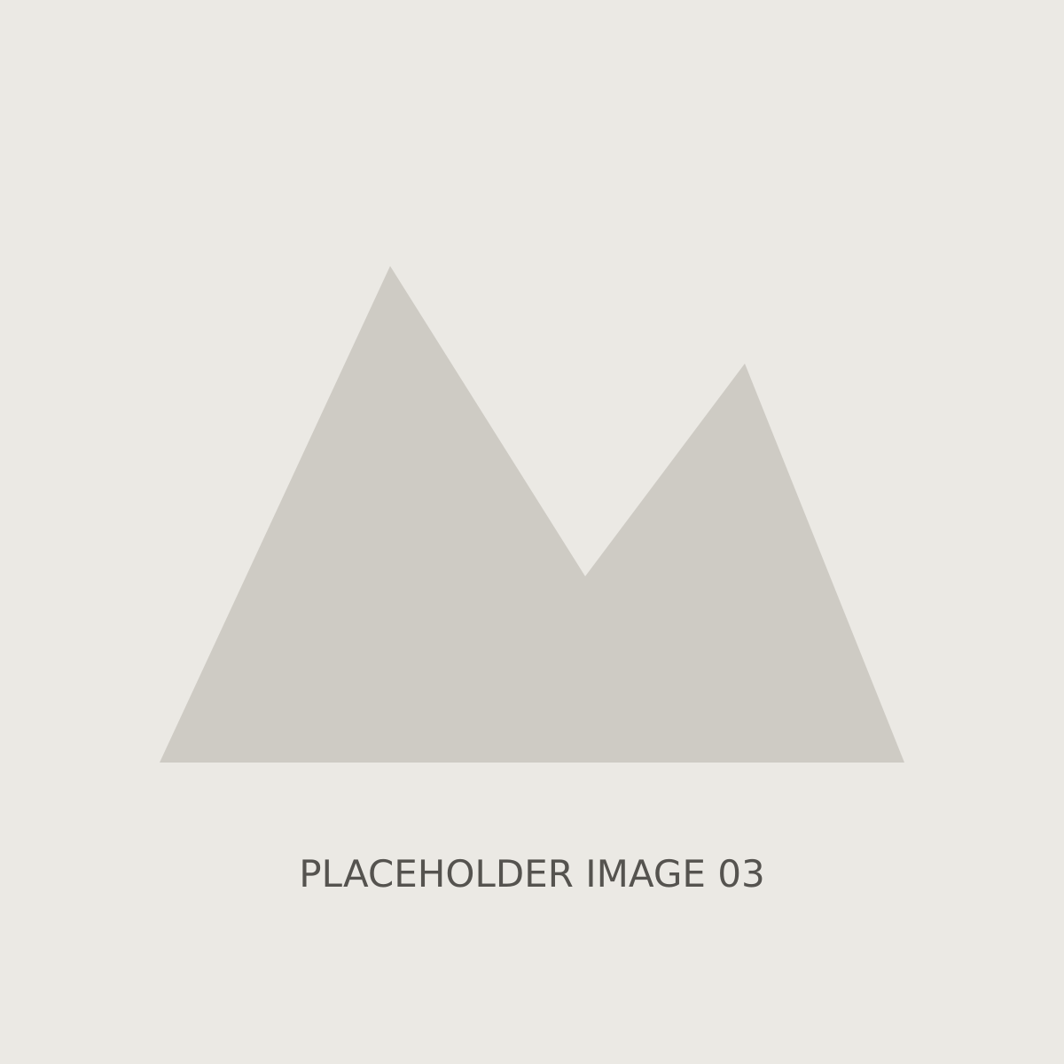 PLACEHOLDER — Portfolio Piece Three — placeholder sample image